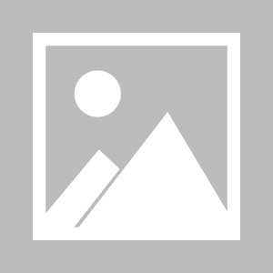 美记：国王与施罗德的签约基本敲定，预估双方将达成一份为期两年3000万美元的合同