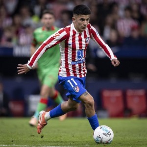 登录入口-意媒：阿尔马达被推荐给尤文，斯帕莱蒂想签博洛尼亚前锋卡斯特罗